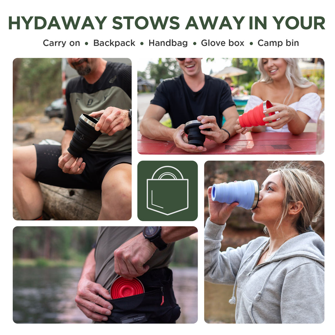 HYDAWAY-Collapsible-Pint-Fern-#color_fern