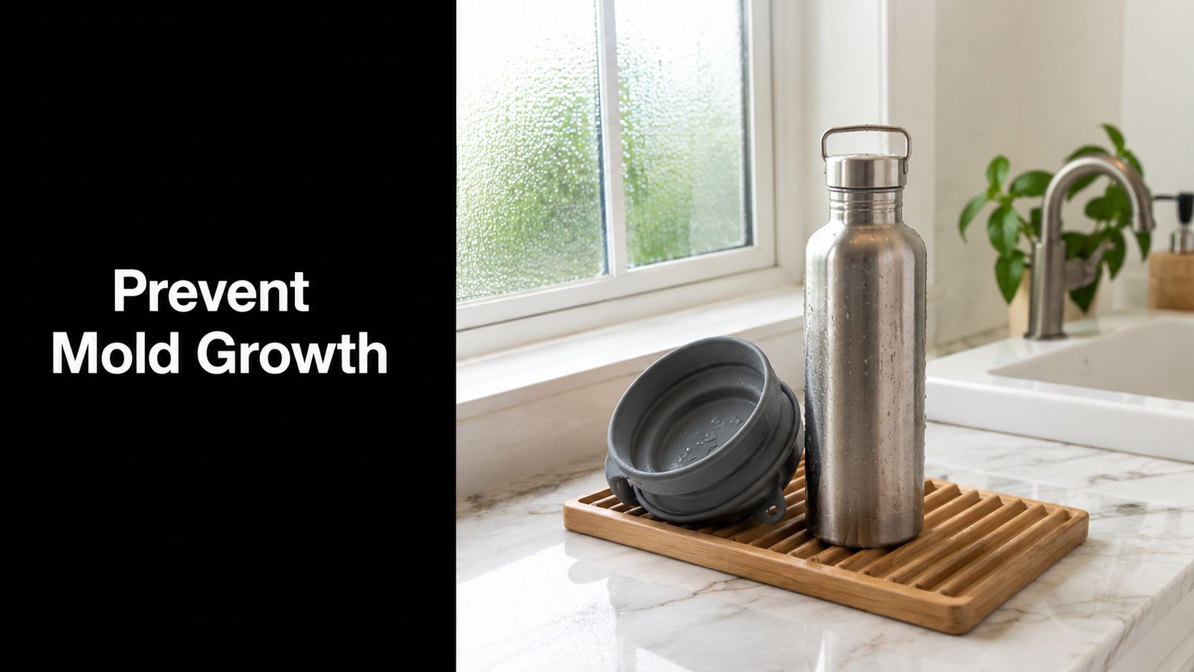 How to Prevent Mold Growth: A Home & Travel Gear Guide