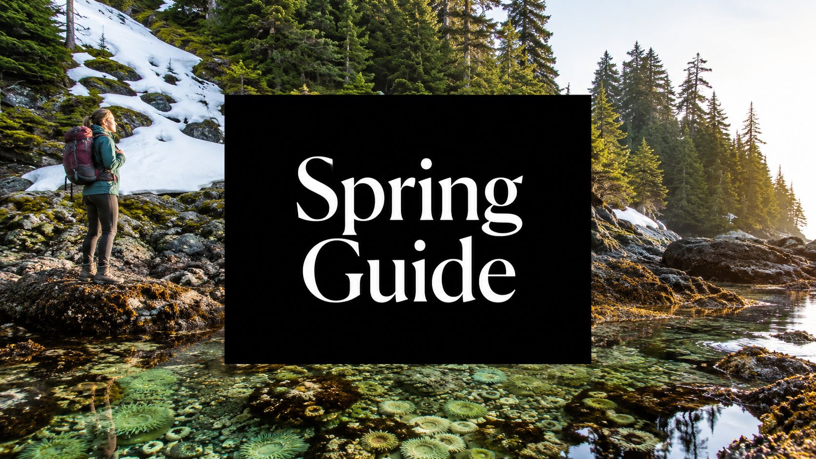 Olympic National Park in April: A Real-World Spring Guide