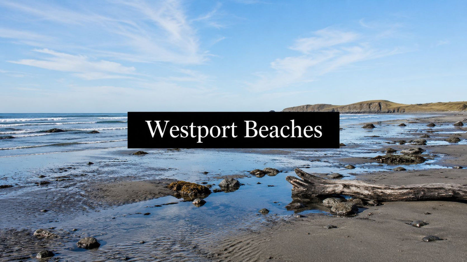 Best Westport Beaches Washington: Your 2026 Guide